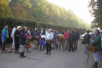 rencontres foret de rougeau