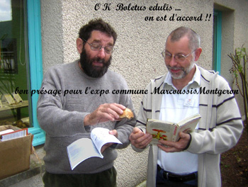 mycologues